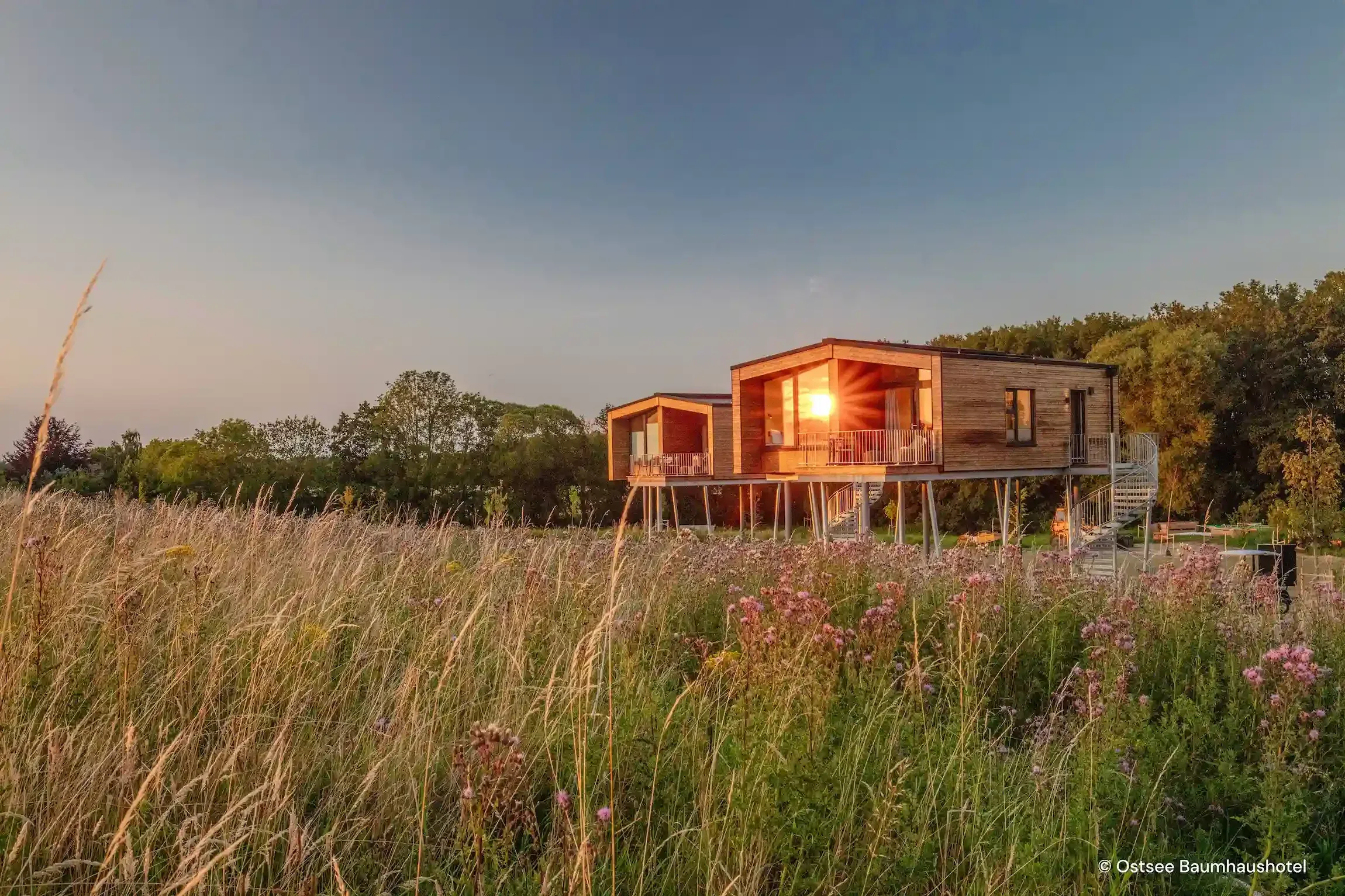 Baumhaushotel-in-der-natur-am-strand.webp